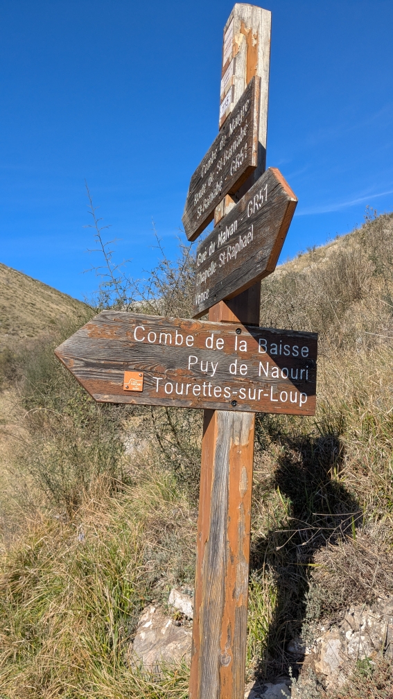 naouri